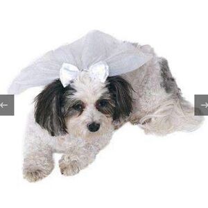Rubie’s Bridal Wedding Veil Pet Accessory
